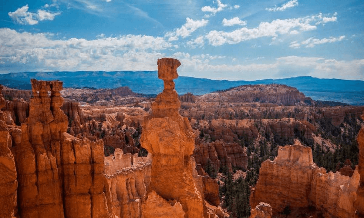 Иллюстрация: service